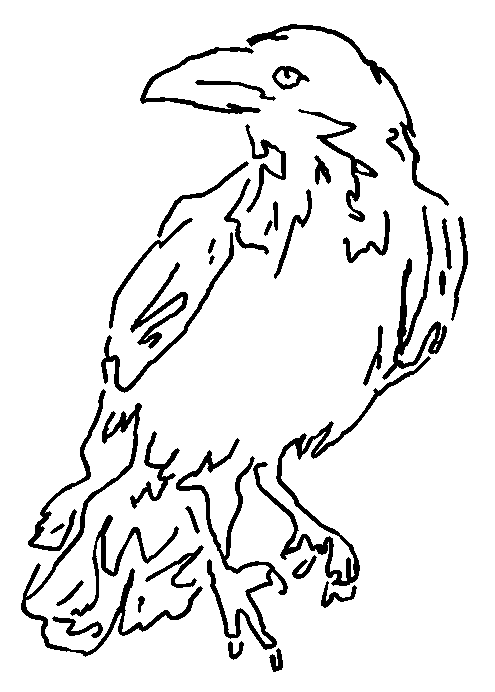 Birds and the I View