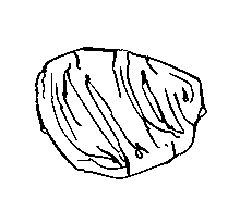Rock